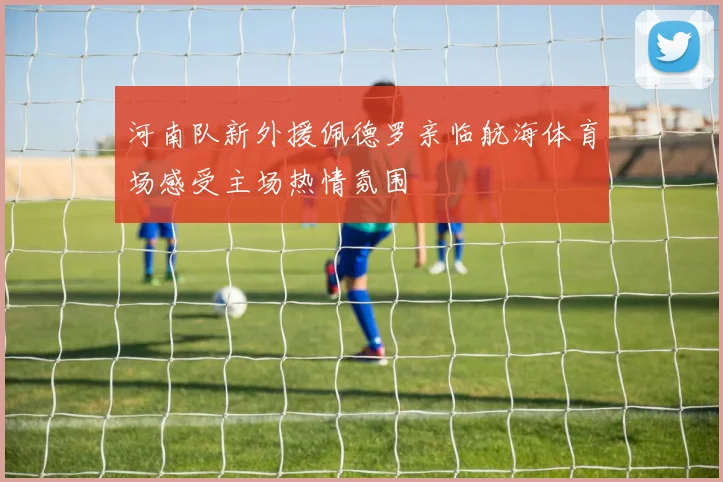 河南队新外援佩德罗亲临航海体育场感受主场热情氛围