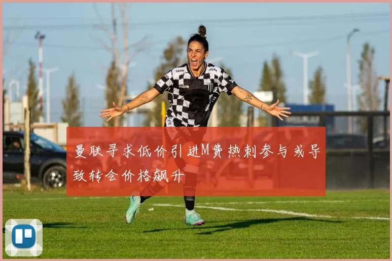 曼联寻求低价引进M费热刺参与或导致转会价格飙升